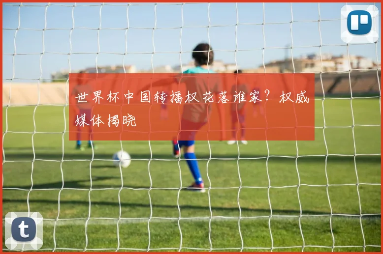 世界杯中国转播权花落谁家？权威媒体揭晓