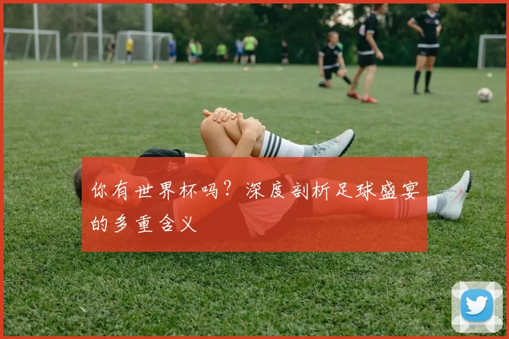你有世界杯吗?深度剖析足球盛宴的多重含义