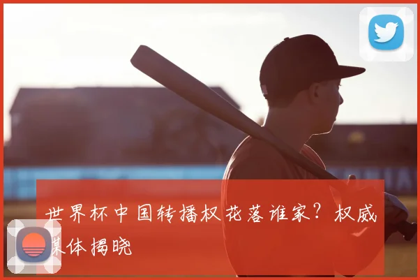世界杯中国转播权花落谁家？权威媒体揭晓