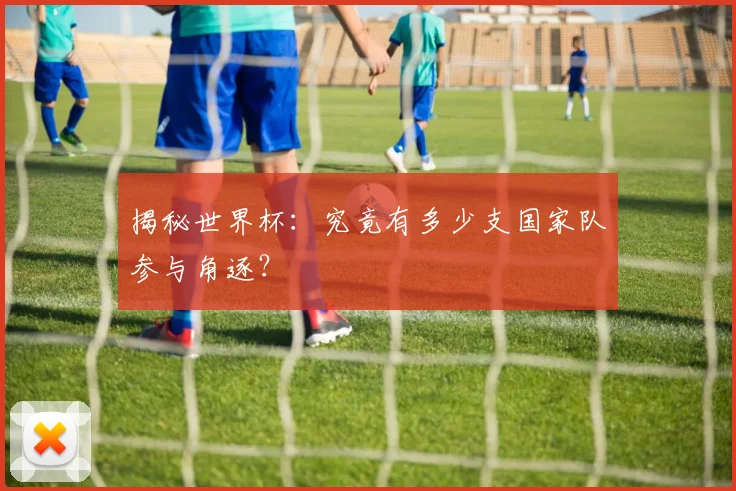 揭秘世界杯:究竟有多少支国家队参与角逐?