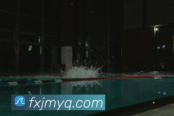 多媒体互动体验